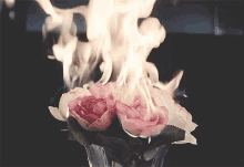 roses fire broken heart