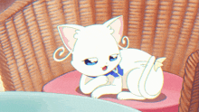 a white cat is sitting on a pink cushion