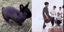 Jungkook Bunny GIF - Jungkook Bunny Rabbit GIFs