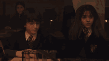 Hermione Granger Harry Potter GIF - Hermione Granger Harry Potter Gryffindor GIFs