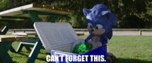 Sonic The Hedgehog Cant Forget This GIF - Sonic The Hedgehog Cant Forget This Sonic Movie 2 GIFs