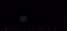 a purple and white background with a white rectangle in the center
