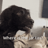 a dog asking where is the jar tax in white letters