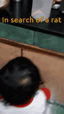 Cute Kid Cabinet GIF - Cute Kid Cabinet In Search Of A Rat GIFs