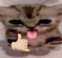 a close up of a cat giving a thumbs up sign .
