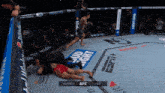 two fighters in a ufc ring with a bud light advertisement