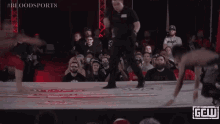 two men are wrestling in front of a crowd and the words bloodsports are visible