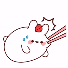 white rabbit red cheek chopsticks hurt