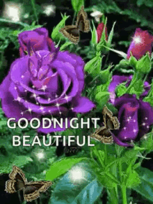 goodnight sweet dreams sparkles flowers butterfly