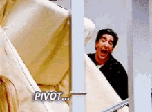 Pivot Ross GIF - Pivot Ross David Schwimmer GIFs