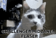 Flaser Challenger Challenger Flaser GIF - Flaser Challenger Challenger Flaser Flasera GIFs
