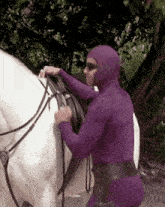 a man in a purple suit is tying a saddle on a white horse .