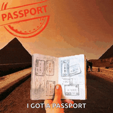 Passport Travel GIF