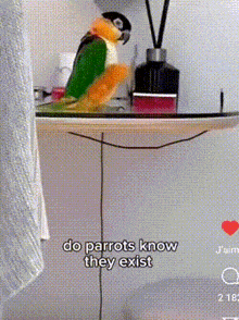 a colorful parrot is sitting on a table and says do parrots know they exist .
