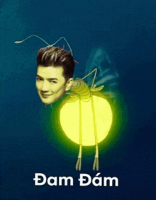 a picture of a mosquito with a man 's face on it and the word dam written below it