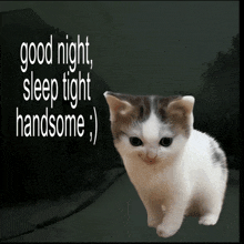 a picture of a cat with the words good night sleep tight handsome on it