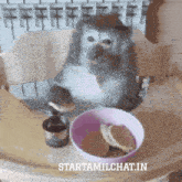 a monkey sitting at a table with a bowl of pancakes and a cup of coffee