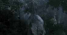 a rhinoceros is standing in the middle of a forest at night .