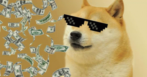 doge money