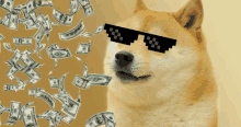 Rich Doge Money Rain GIF - Rich Doge Money Rain Rich GIFs