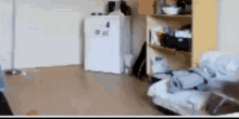 a blurred image of a room with a refrigerator and a shelf