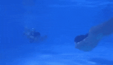 a man is swimming underwater in a pool .