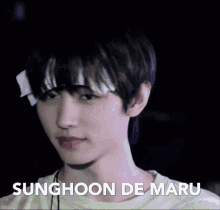Sunghoon Maruhoon GIF - Sunghoon Maruhoon GIFs