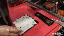 a person is making a sushi roll with the words made in animatica visible in the corner
