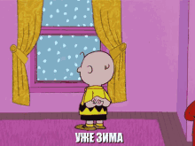 снупи собака пес бигль чарли браун зима окно смотреть GIF - Snoopy Peanuts Charlie Brown GIFs