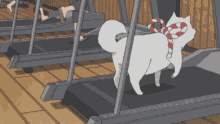 Dog Treadmill GIF - Dog Treadmill Tired GIFs