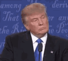 Donald Trump Wrong GIF