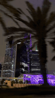 a palm tree is silhouetted against a dark city skyline at night