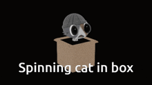 Spinning Cat GIF