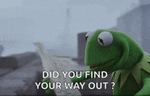Kermit The Frog Looking For Directions GIF - Kermit The Frog Looking For Directions Navigate GIFs