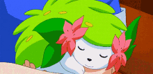 shaymin pokemon flower gracidea sleeping