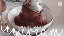 All You Need Is Ice Cream Chocolate Ice Cream GIF - All You Need Is Ice Cream Chocolate Ice Cream Creamy GIFs