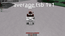 a screenshot of a video game shows the average tsb 1v1