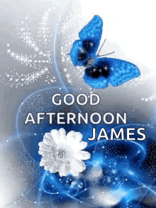 Good Afternoon Blue GIF