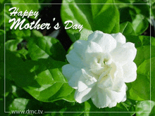 a happy mother 's day greeting card with a white flower and green leaves