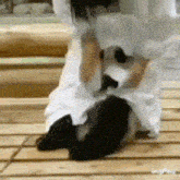 Baby Panda Bath GIF - Baby Panda Panda Bath GIFs