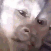Why Did Iyana Make This Monke GIF - Why Did Iyana Make This Monke Cursed Memes GIFs