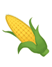 corn food