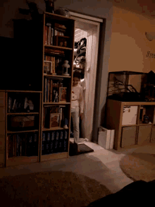 a person laying on a bookshelf with a sign on the wall that says ' susan '
