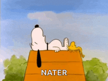 Kp09 Dogs GIF - Kp09 Dogs Snoopy GIFs