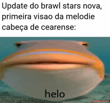 a picture of a fish with the words update do brawl stars nova primeira visao da melodie cabeça de cearense helo