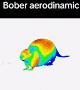Bober Aerodinamic GIF - Bober Aerodinamic Bober Aerodinamic GIFs