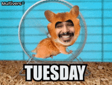 a picture of a hamster with a man 's face on it and the word tuesday below it