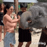 Feeding The Elephant Viralhog GIF - Feeding The Elephant Viralhog Giving The Elephant Food GIFs