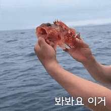 Gahyeon Fish GIF - Gahyeon Fish Shocked GIFs