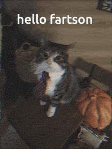Hello Fartson Fartson Spawnrate GIF - Hello Fartson Fartson Fartson Spawnrate GIFs